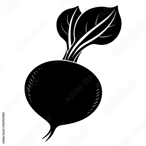 Turnip   vegetable vector perfect for healthy food, farm, eco, and organic-themed digital design projects.