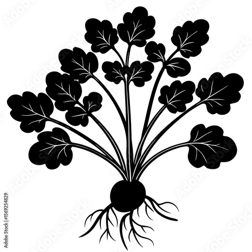 Watercress  vegetable vector perfect for healthy food, farm, eco, and organic-themed digital design projects.