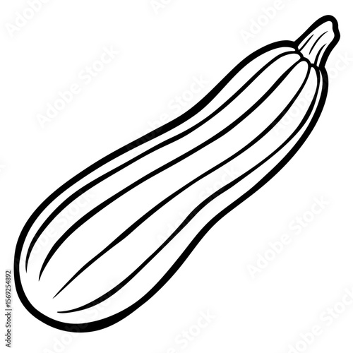 Zucchini   vegetable vector perfect for healthy food, farm, eco, and organic-themed digital design projects.