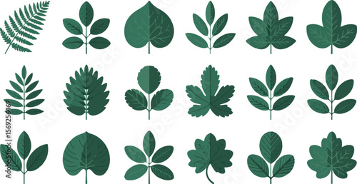 Vector art of assorted green leaves on white background
