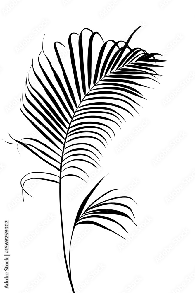 Obraz premium Black silhouette of palm tree and leaf in artistic vector style on white background