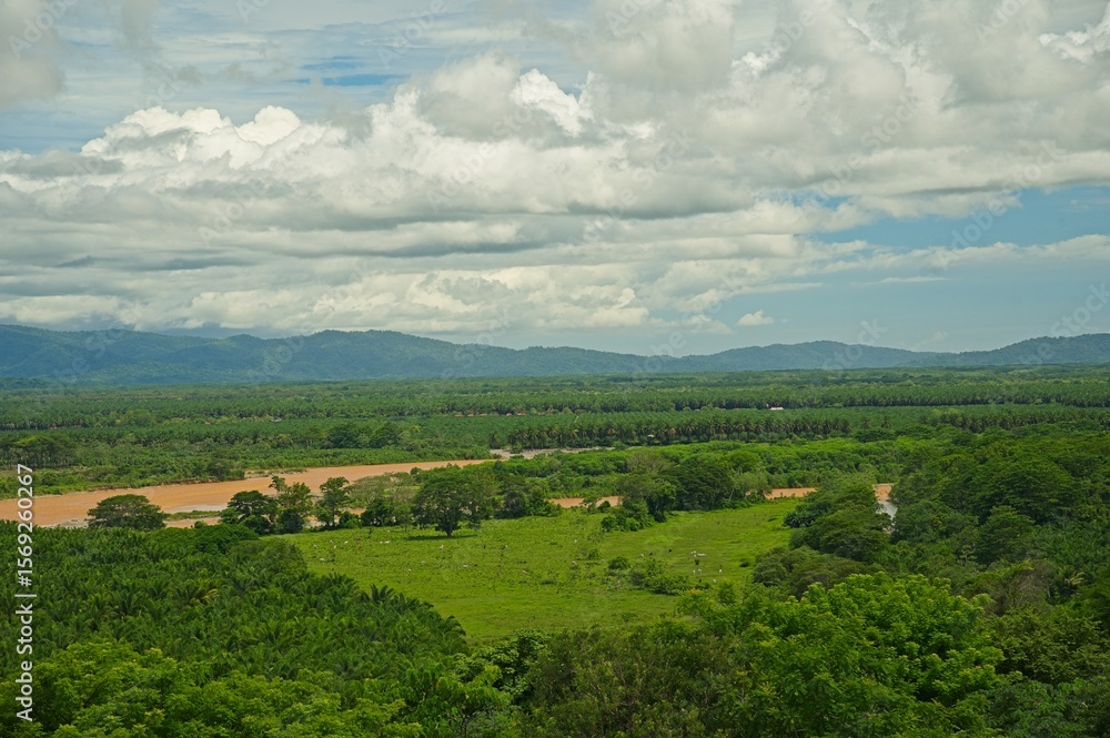 Obraz premium view to the Rio Terraba river and the Osa peninsula near Palmar Sur in Costa Rica
