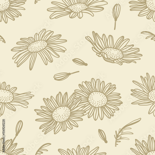 Seamless pattern with chamomile flowers and leaves