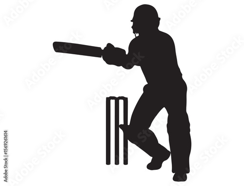 CRICKET PLAYER SILHOUETTE