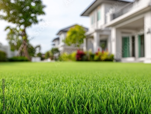 Wallpaper Mural Close-up of vibrant green grass lawn, blurred background with modern residential houses, landscape design, perfect lawn. Torontodigital.ca