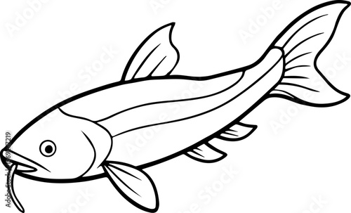 catfish outline vector drawing for coloring