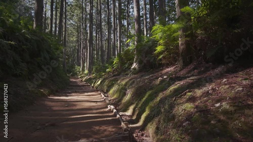 熊野古道 道休禅門地蔵