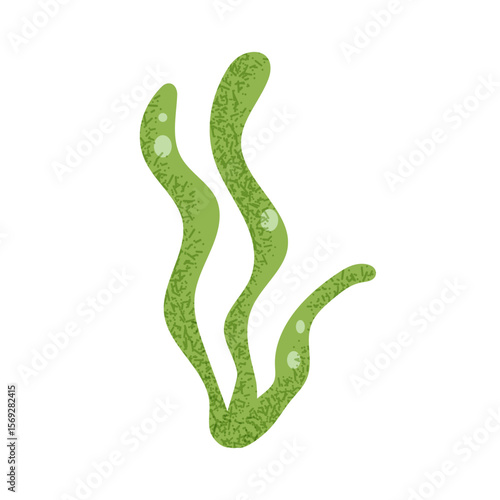 Green seaweed clipart. Simple marine plant element for ocean crafts and kids design. Vector isolated.