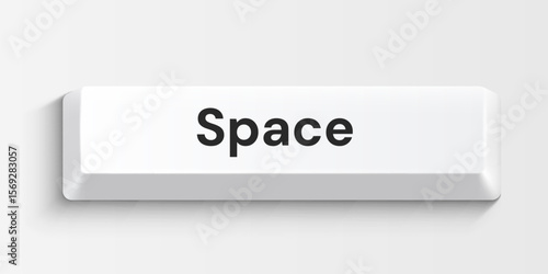 White computer space key on white background. Vector illustration