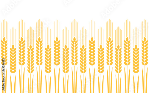 Wheat pattern wallpaper. oat symbol. free space for text. rice sign. Rice pattern wallpaper.