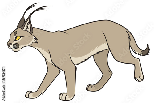 Detailed Wildlife Illustrations: Lemur, Sloth, Hummingbird, Skunk, Tasmanian Devil, Pheasant, Raccoon, Magpie, Butterfly, Pronghorn, Puffin, Koala, Cassowary, Nightjar, Lynx, Caracal, Okapi, Emu, Peop
