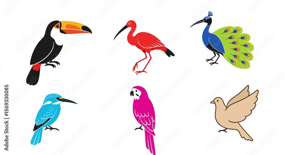 Naklejka premium Vector illustration of colorful birds toucan ibis peacock kingfisher parrot and dove vector drawing for kids art