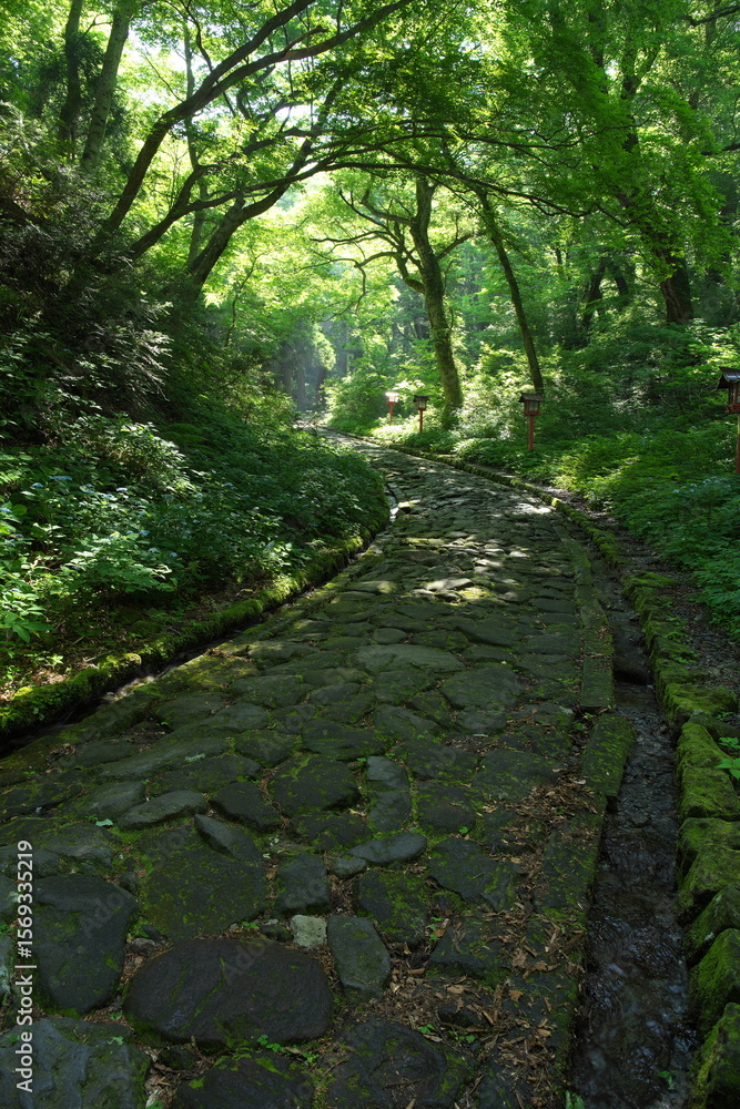 鳥取県の大山隠岐国立公園にある大神山神社参道 鳥取県の大山隠岐国立公園にある大神山神社参道