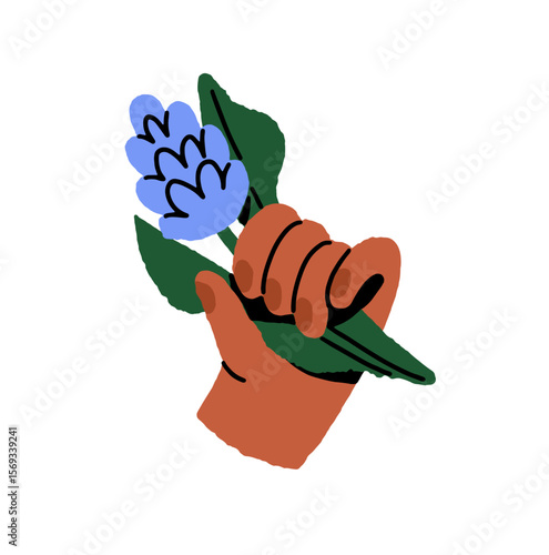 Hand with branch of blue wildflower. Person holds twig of lupine, bluebonnet flower with leaves. Cut sprig of blooming meadow plant, floral gift. Flat isolated vector illustration on white background