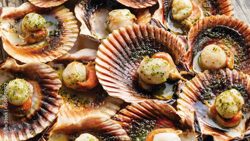 Photography Seared scallop