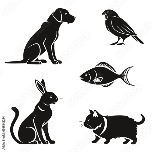 Different kinds of animals isolated on white background