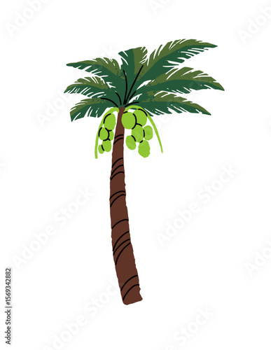 Palm tree with coconut. Coco is on sand beach of island. Palmtree with fruit, green leaves. Exotic plant of jungle, tropical forest. Flat hand drawn isolated vector illustration on white background