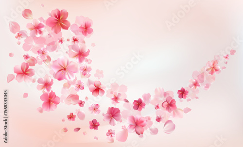 Delicate light pink sakura flowers flow. Wind swirls