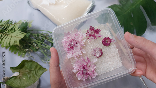 Close view of hands holding a container with flowers and silica gel showing the process of making DIY dried flowers for craft and hobby project
