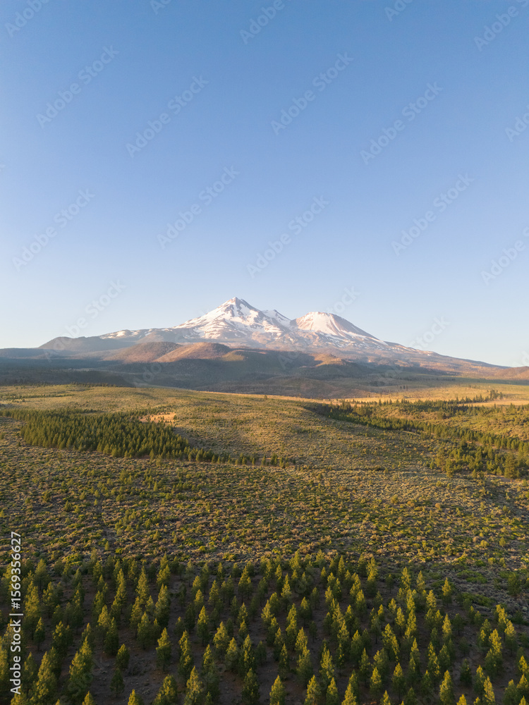 Fototapeta premium Beautiful Mount Shasta volcano with snow and glacier visible, in early summer morning sunlight, aerial view, portrait mode 