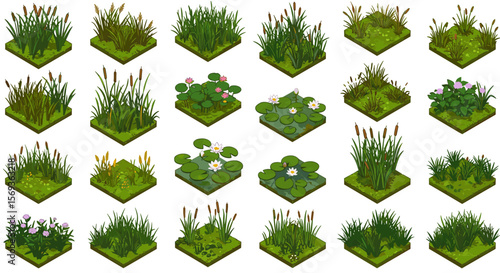 Collection of aquatic plants vector illustration for landscape design