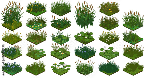 Diverse aquatic and wetland plant vector illustration for nature and gardening designs