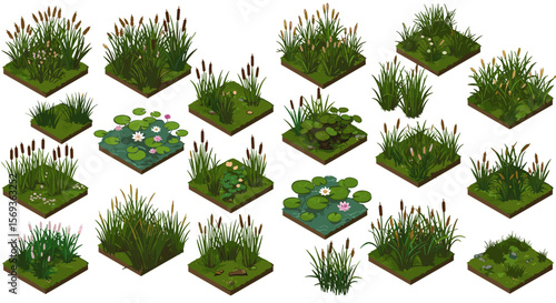 Collection of aquatic plants in garden ponds vector illustration for landscape design