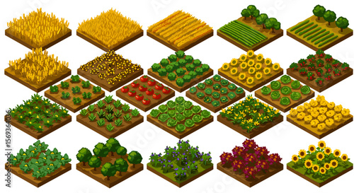 Isometric garden and farm crops vector illustration for game design, poster or learning material
