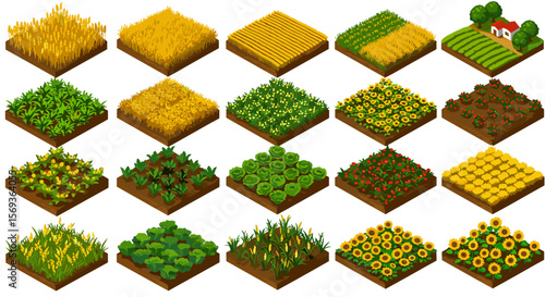Isometric farming vector illustration of diverse crops and garden plots for agricultural design