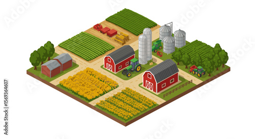 Isometric farm scene vector illustration with barns and fields for agriculture design