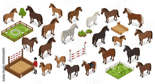 Equestrian activities vector illustration with isometric horse elements and riding equipment for design projects