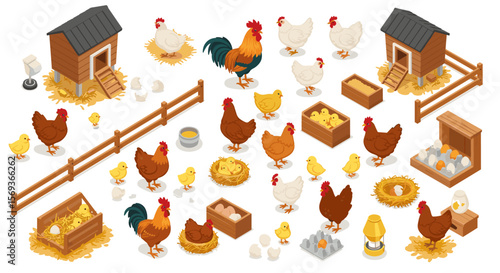 Farm animals and coop activities vector illustration for educational and decorative design
