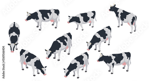 Isometric vector illustration of black and white cows for farm design and poster use