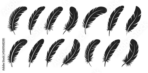 Minimal black feather silhouettes in assorted slim and curved forms, vector illustration set. Decorative bird feathers with clean lines arranged in two neat rows.