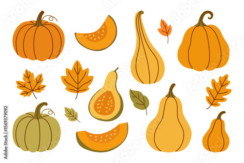 Vector Collection of Pumpkins and Squash in Warm Autumn Colors with Leaves — Thanksgiving and Fall Harvest Illustration for Seasonal Decor and Holiday Themed Creative Projects