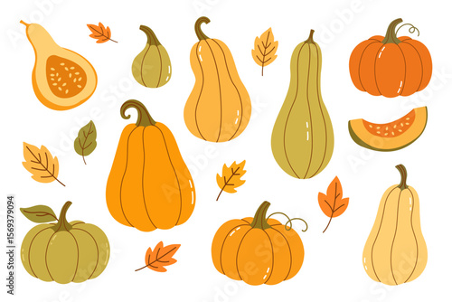 Hand Drawn Autumn Pumpkins and Colorful Leaves Collection — Cozy Seasonal Elements for Thanksgiving Decor, Harvest Themes, and Fall Design Projects on White Background