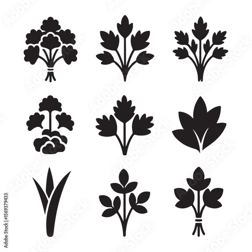 Parsley Herb Bunch Outline Icons
