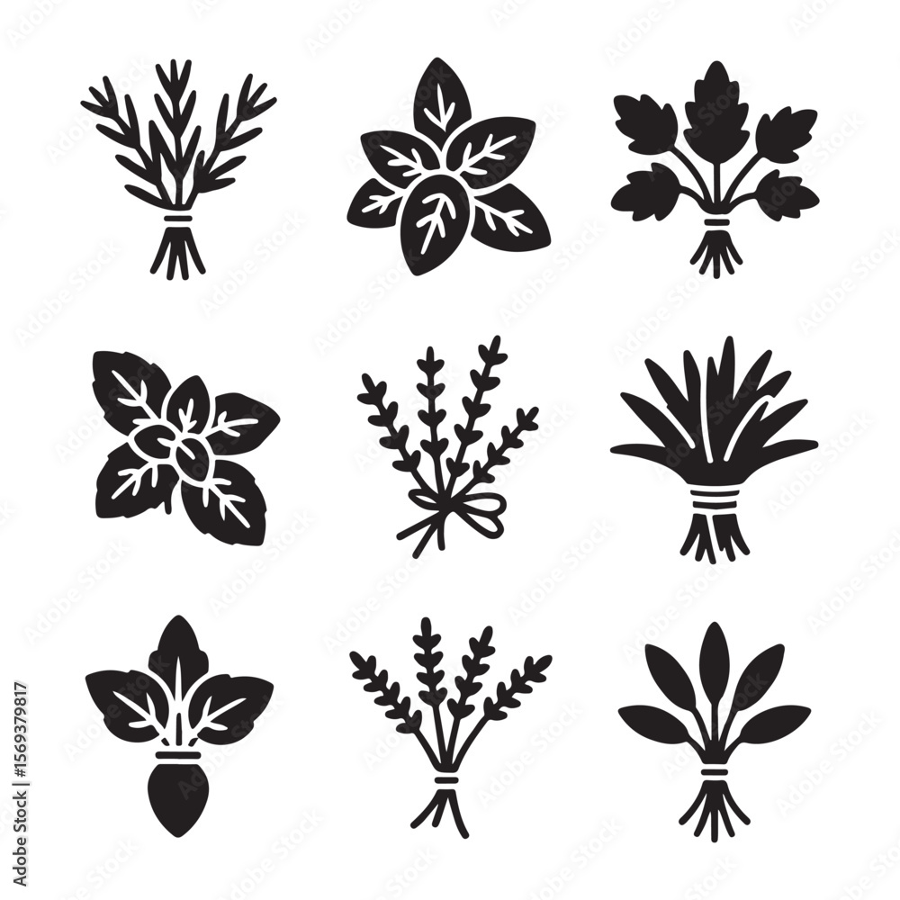 Fresh Herb Bunch Outline Icons
Fresh Herb Bunch Outline Icons