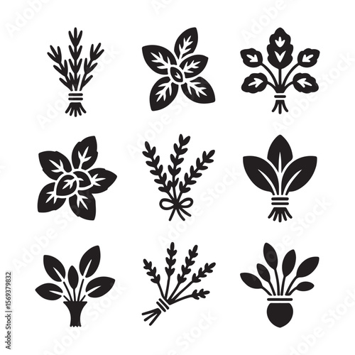 Fresh Herb Bunch Outline Icons
