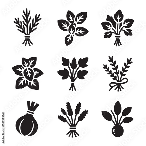 Fresh Herb Bunch Outline Icons
