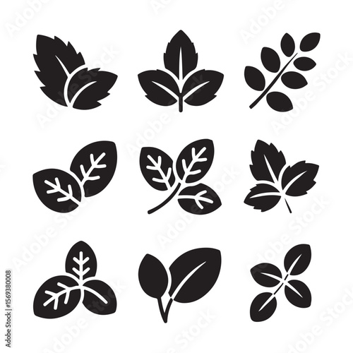 Mint Leaf Icon Set for Refreshing Designs
