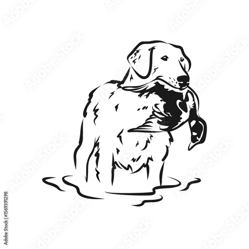 Proud Retriever Hunting Dog with Duck Illustration