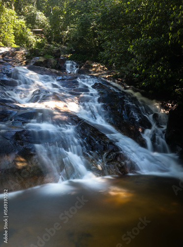 waterfall in the rain forest park