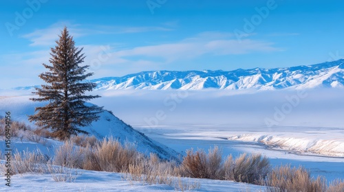 Wallpaper Mural Serene Winter Landscape with Snow-Capped Mountains, Frosty Tree, and Soft Blue Sky in a Peaceful Natural Setting Torontodigital.ca