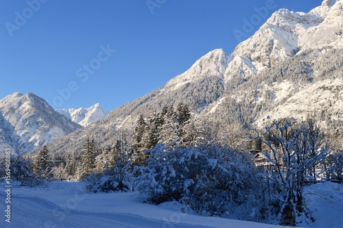 Wallpaper Mural winter mountain landscape in Austria Torontodigital.ca