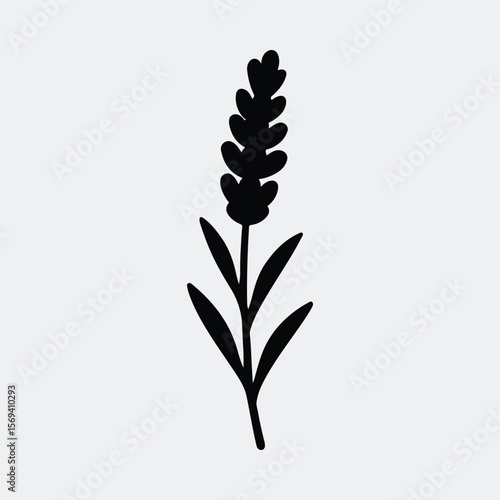 Silhouette lavender flower stem minimal illustration vector illustration