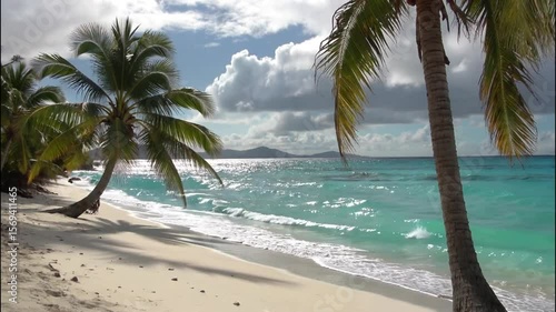 Serene Tropical Beach Scene Palm Trees, Turquoise Waters, and White Sand