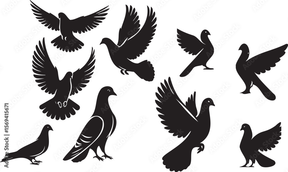 Fototapeta premium Web