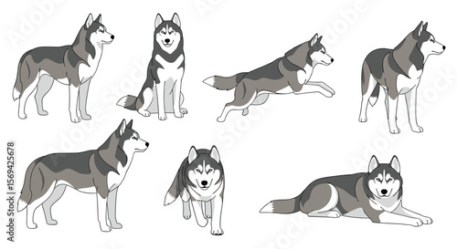 Collection of cute husky dogs in various poses and activities