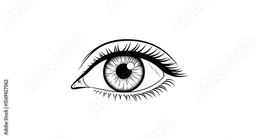 Vector Eye: Detailed Line Art Illustration on White